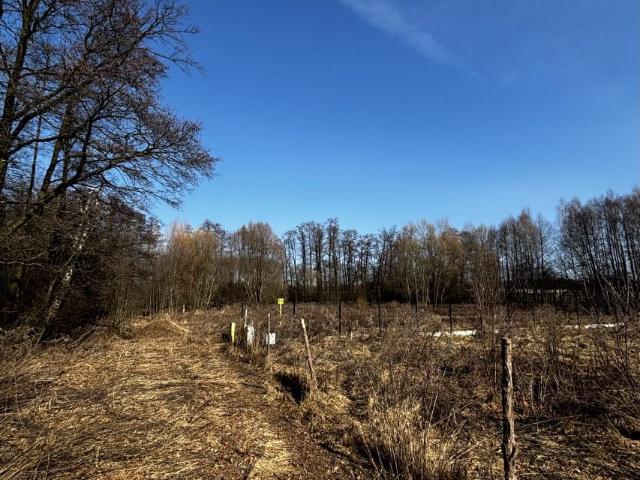 Działka 3 100 m², Rąbień