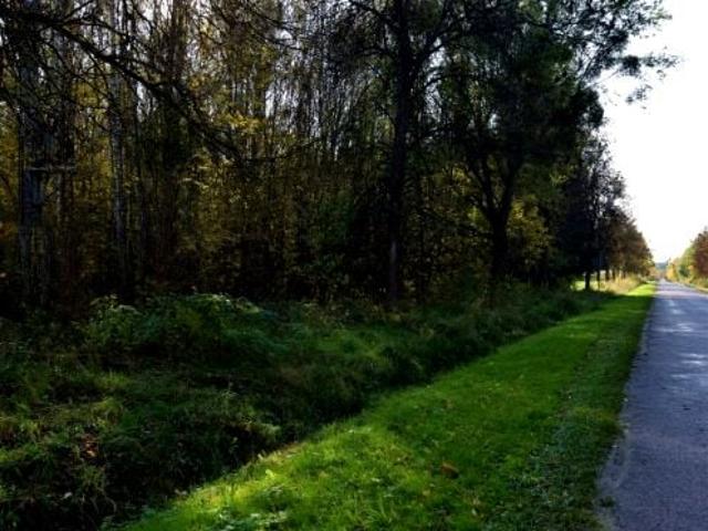 Działka 3 100 m², Zabłudów