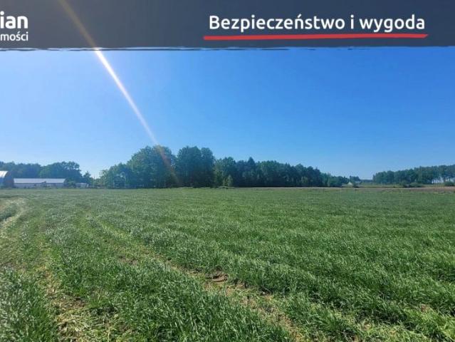Działka 3 137 m², Bojano