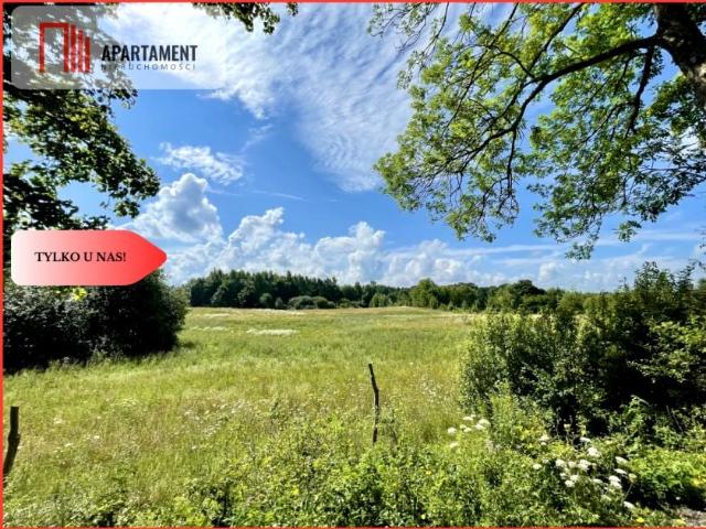 Działka 3 146 m², Kuszewo