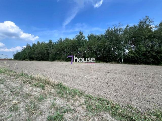 Działka 3 151 m², Tarnowskie Góry