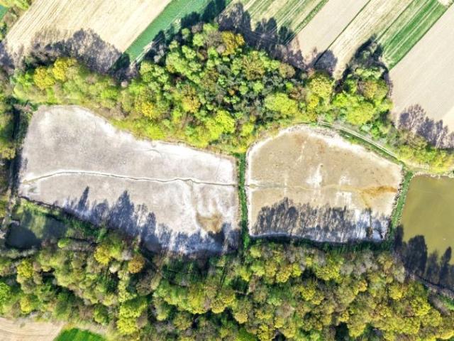 Działka 3 175 m², Witkowice