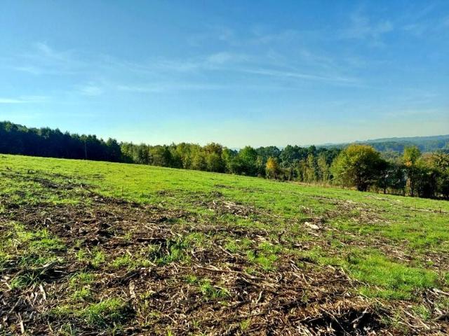 Działka 3 178 m², Cieszyn