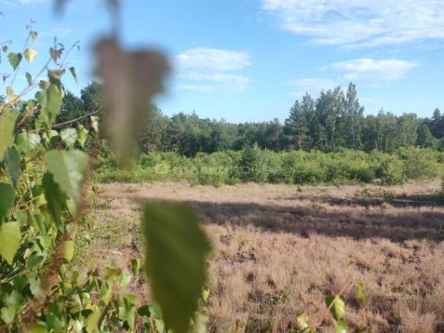 Działka 3 197 m², Jeruzal