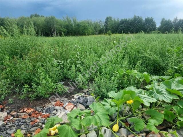 Działka 3 200 m², Dybów Kolonia