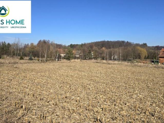 Działka 3 200 m², Jeszkotle