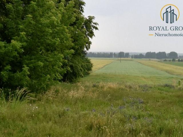 Działka 3 200 m², Ostrówek