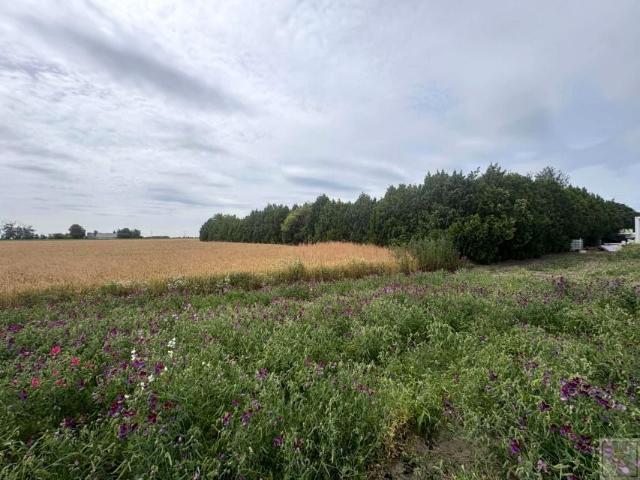 Działka 3 200 m², Przecław