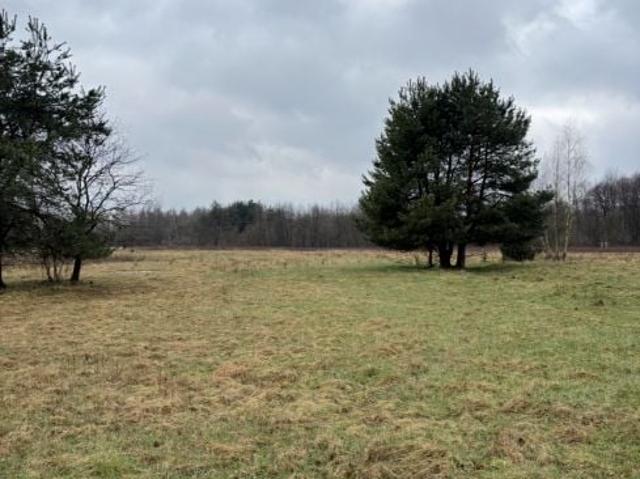Działka 3 200 m², Przeginia Narodowa