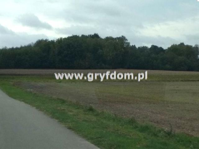 Działka 3 200 m², Zaleszczyce