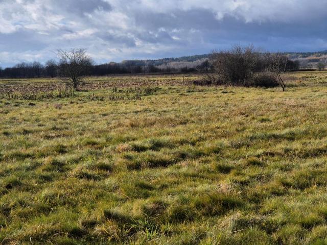 Działka 3 236 m², Osobnica