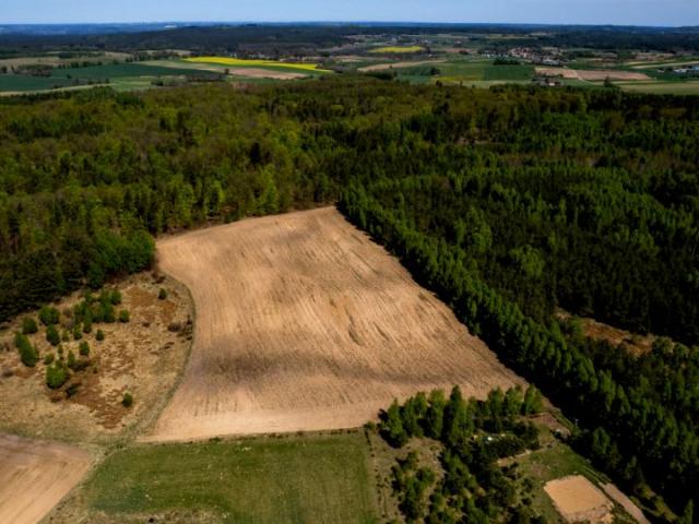 Działka 3 238 m², Bukowina