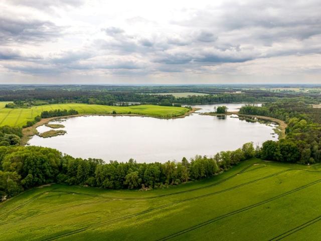 Działka 3 233 m², Gorzycko Stare