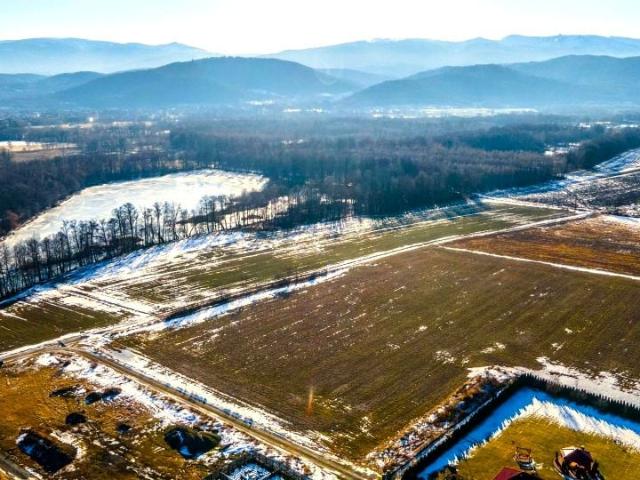 Działka 3 246 m², Wojcieszyce