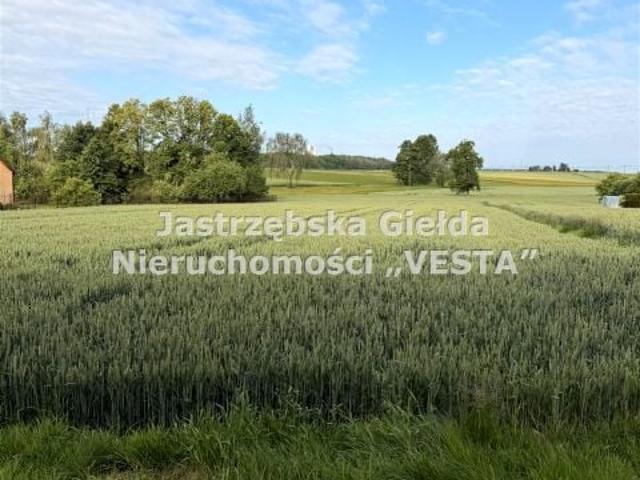 Działka 3 247 m², Pawłowice