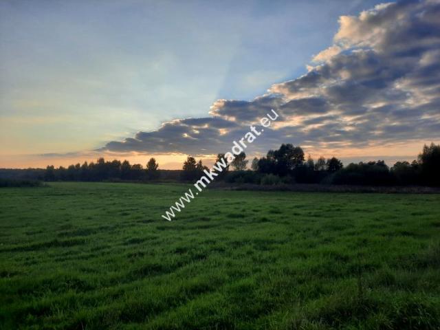 Działka 3 266 m², Pieńki Zarębskie