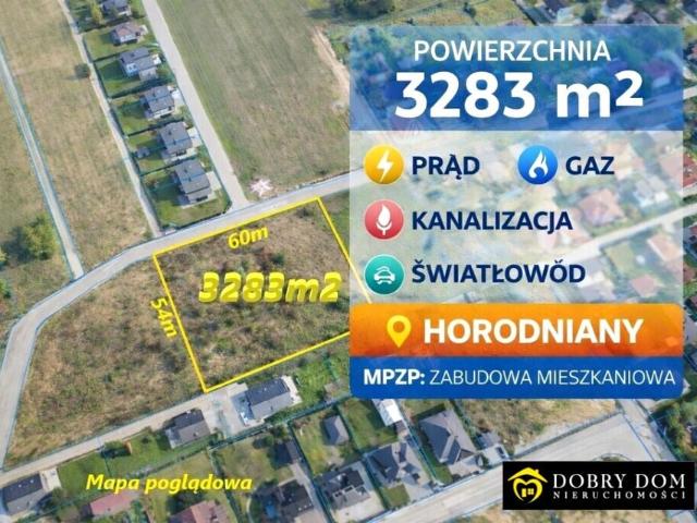Działka 3 283 m², Horodniany