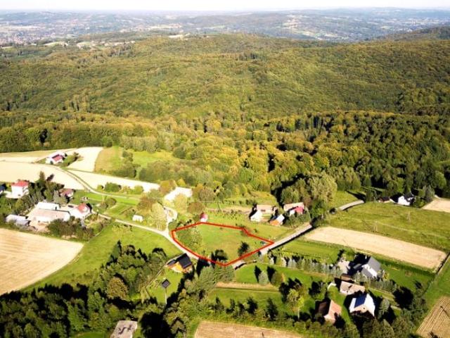 Działka 3 300 m², Dąbrówka Szczepanowska
