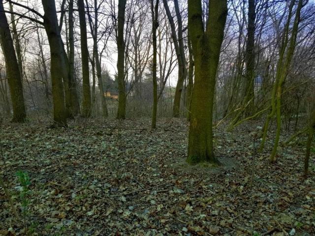 Działka 3 300 m², Kocianów