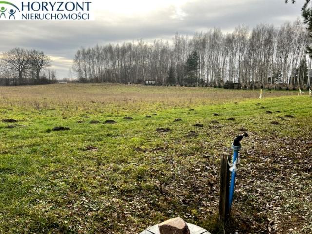 Działka 3 300 m², Lisewiec