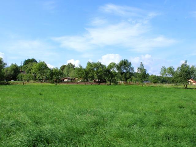 Działka 3 300 m², Nowa Wieś