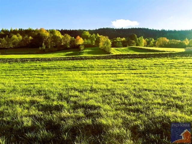 Działka 3 300 m², Słopnice