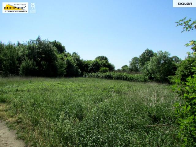 Działka 3 300 m², Sadlno