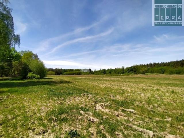 Działka 3 311 m², Słone