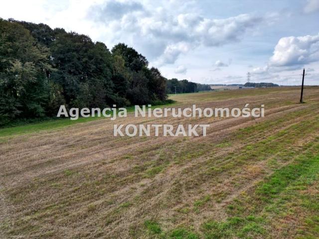 Działka 3 334 m², Międzyrzecze Dolne