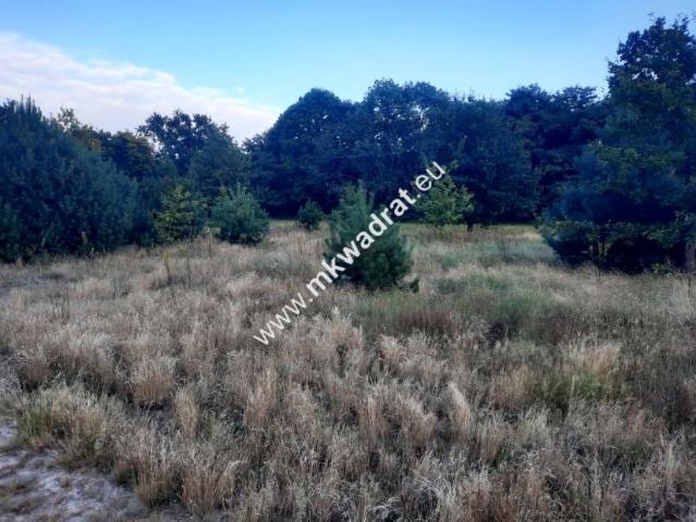 Działka 3 350 m², Pieńki Zarębskie