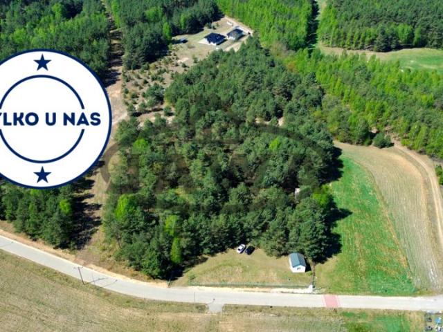 Działka 3 385 m², Wysoka
