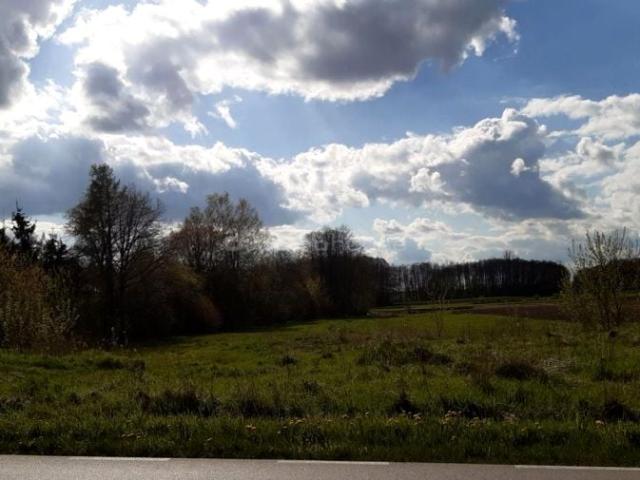 Działka 3 383 m², Wola Mysłowska