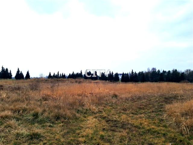 Działka 3 398 m², Ozorzyce
