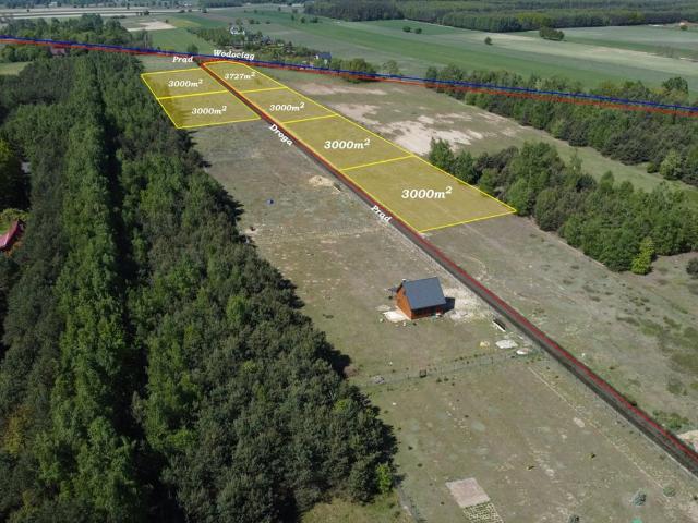 Działka 3,7 ha nad Wkrą – cisza, natura, blisko plaży