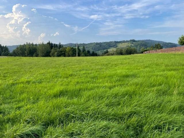 Działka 3 400 m², Mszalnica