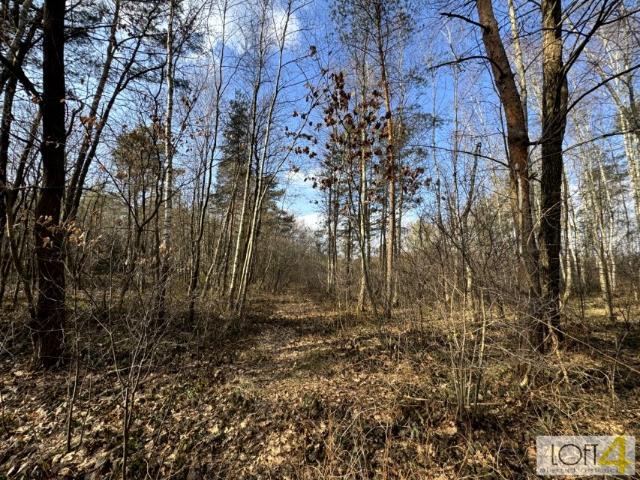 Działka 3 400 m², Stare Żukowice