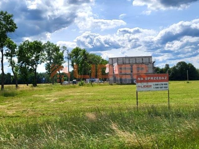 Działka 3 401 m², Kuriany
