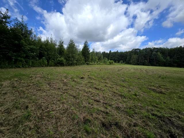 Działka 3 466 m², Dąbrowa Górnicza
