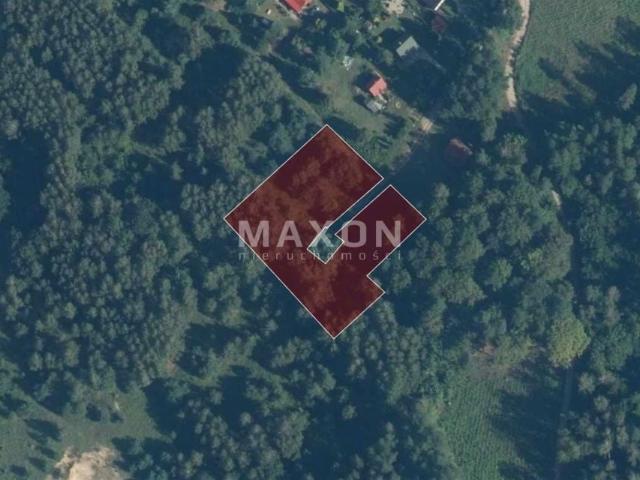 Działka 3 487 m², Winiec