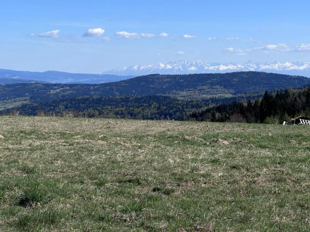 Działka 3 500 m², Bogdanówka