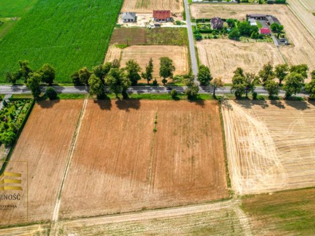 Działka 3 500 m², Krasienin Kolonia