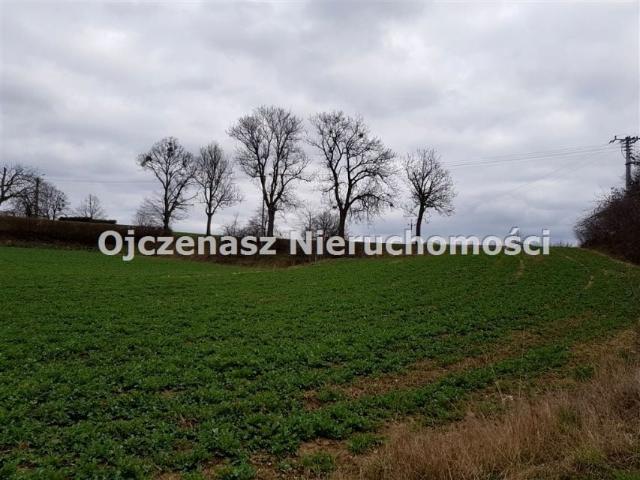 Działka 3 500 m², Salno