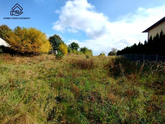 Działka 3 500 m², Prawiedniki