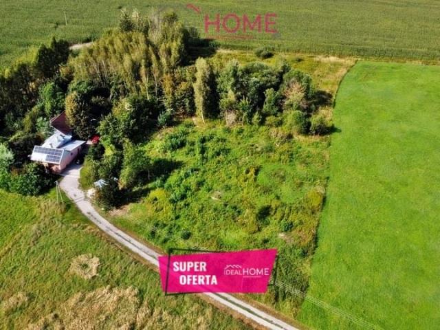 Działka 3 521 m², Olchowa