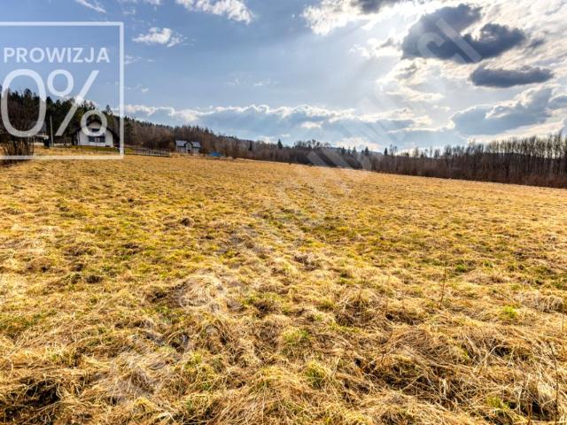 Działka 3 550 m², Budzów