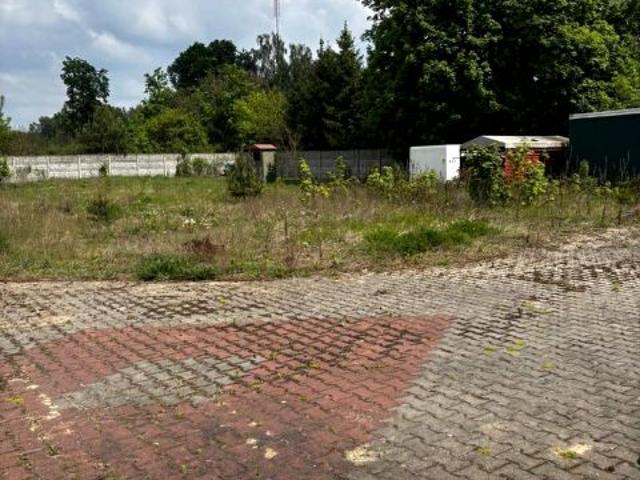 Działka 3 566 m², Czerwonka Włościańska