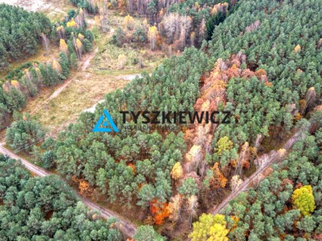Działka 3 571 m², Osowo Leśne