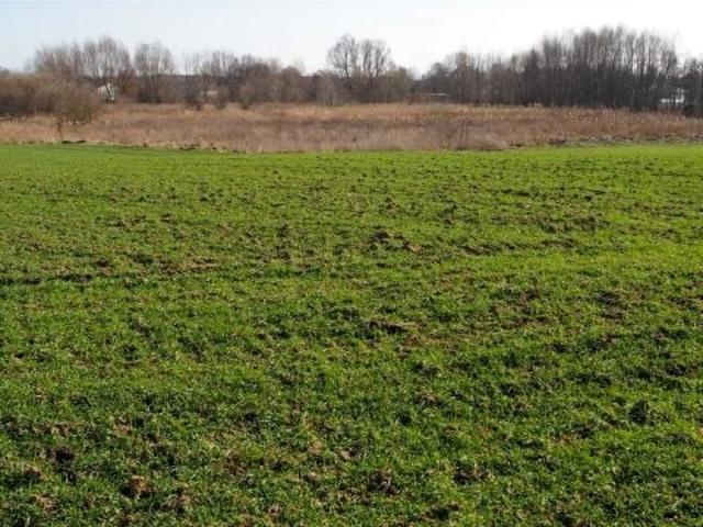 Działka 3 586 m², Kruszyn Krajeński