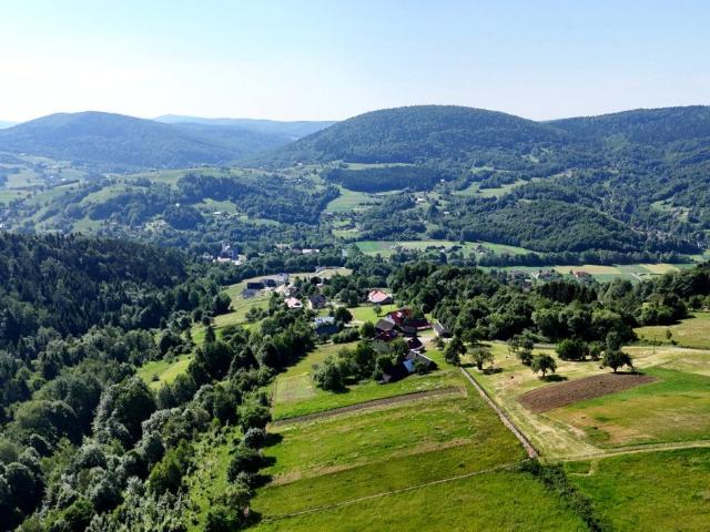 Działka 3,5 ha z panoramicznym widokiem w Szymbarku