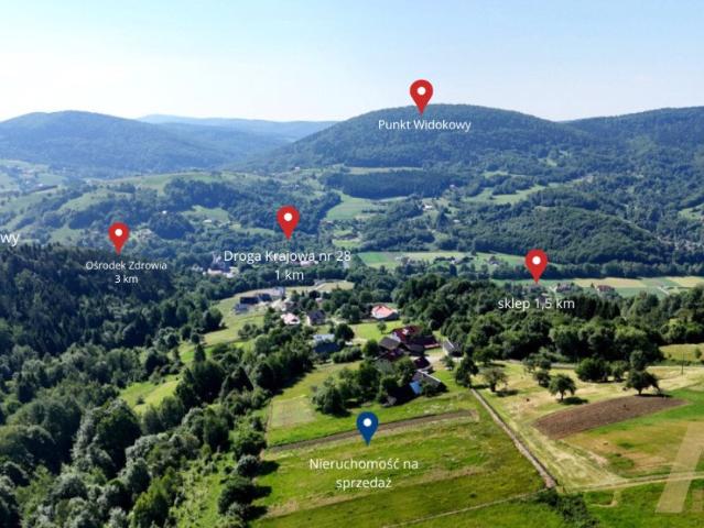 Działka 3,5 ha z panoramicznym widokiem w Szymbarku